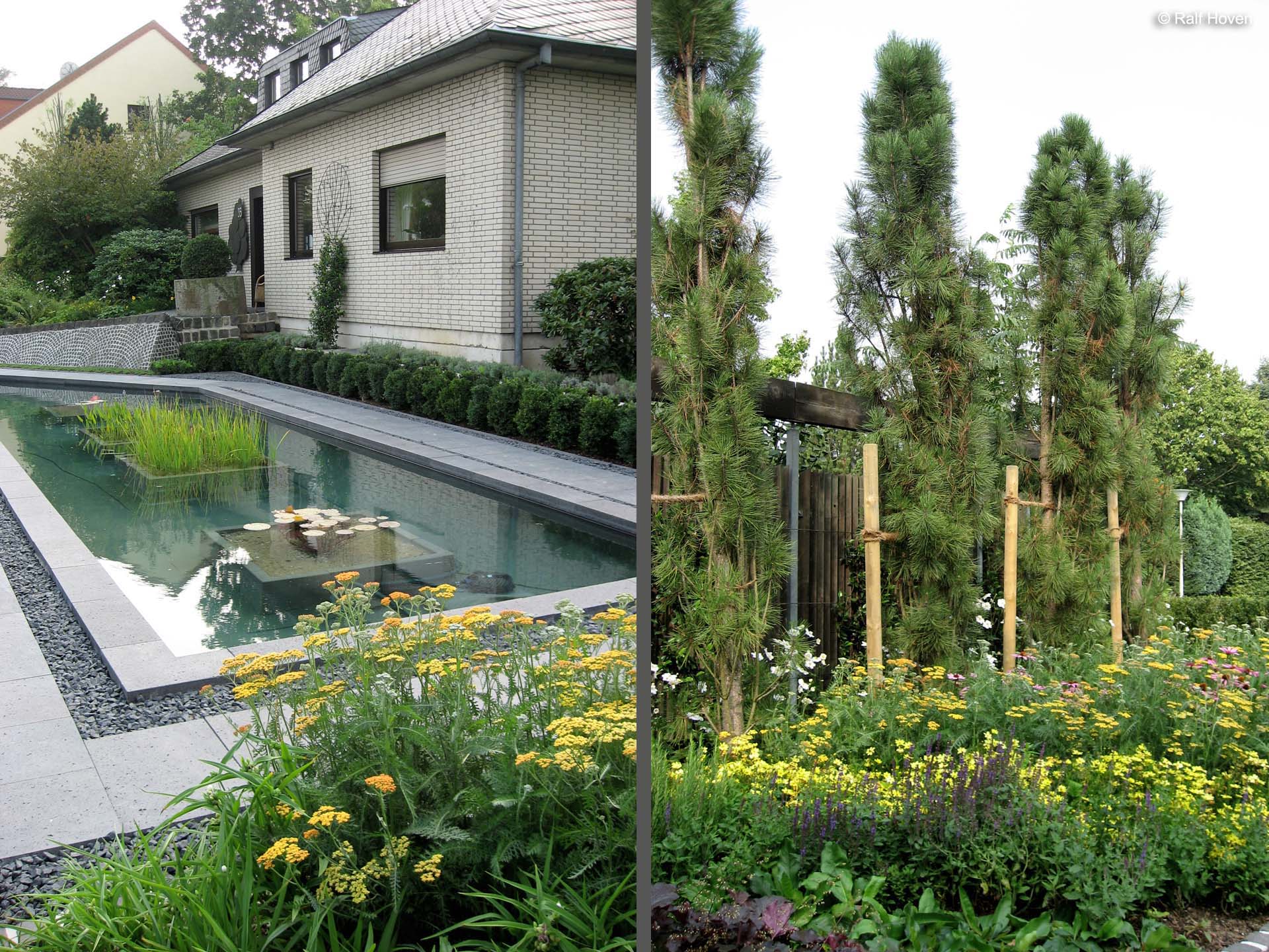 Gartengestaltung Frechen Königsdorf, Wasserbecken, Staudenbeete, modern
