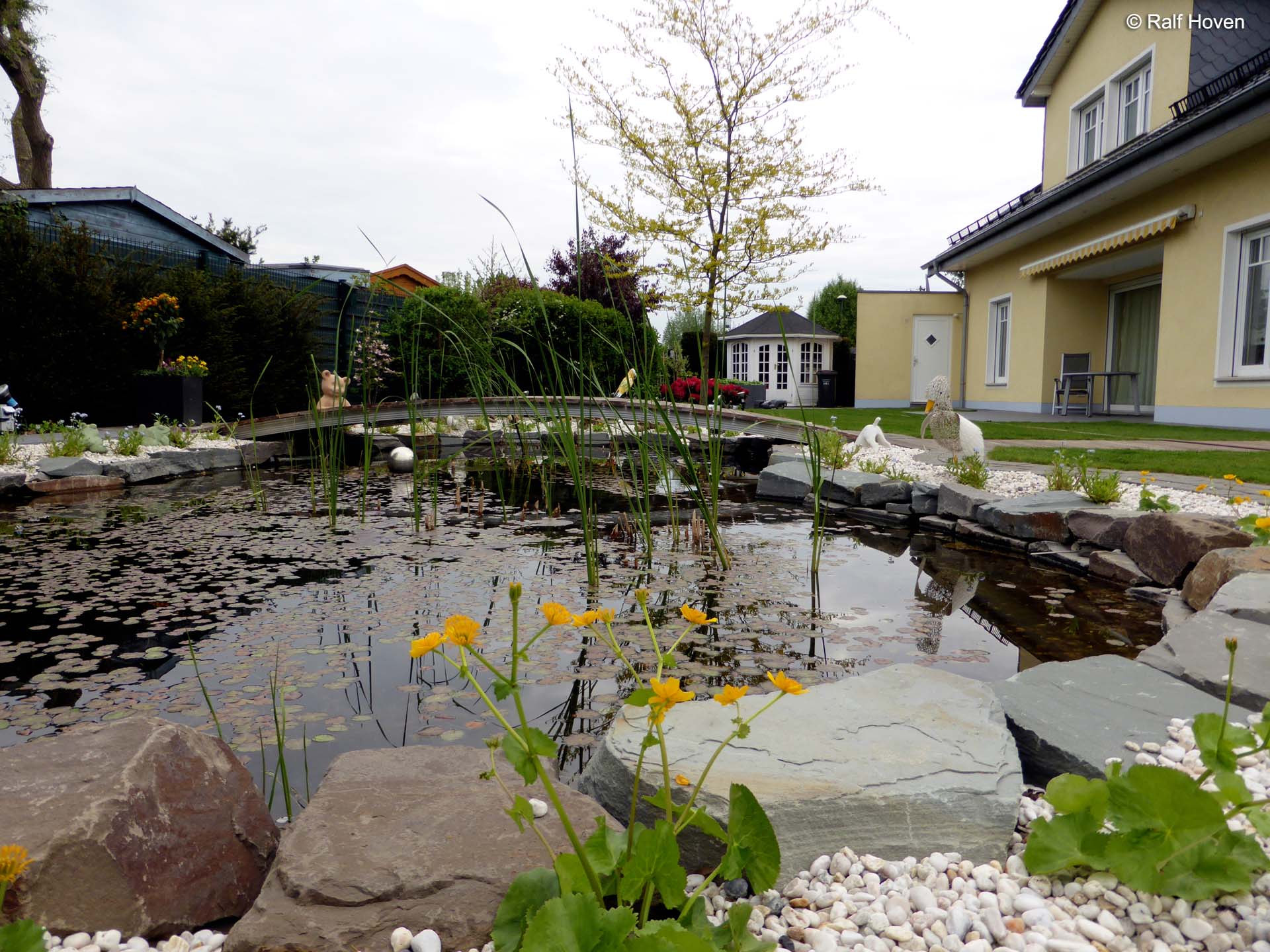 Gartengestaltung in Köln Teich Wasser