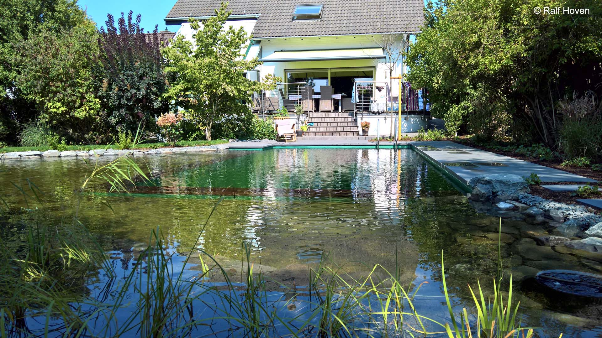 Gartengestaltung in Bergheim Schwimmteich